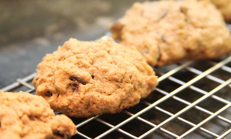 Sensational Chocolate Oatmeal Cookies